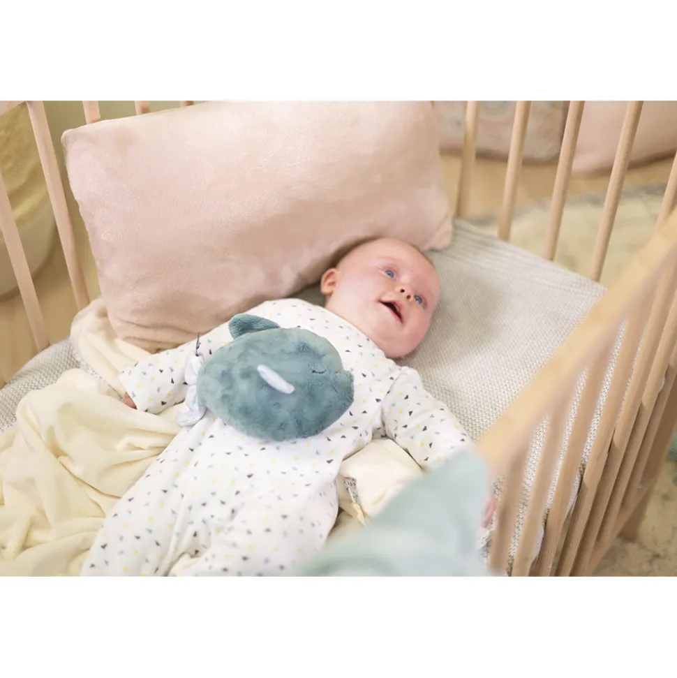 Kaloo Peluche Animaux^Peluche Bouillotte Chaud Et Froid Poisson